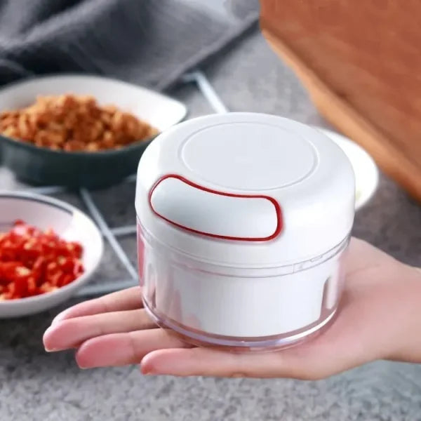 Multi Functional Grinding Food Chopper | Mini Manual Garlic Chopper (With Magnetic Blade)