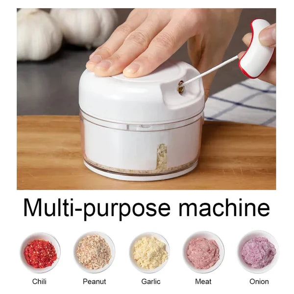 Multi Functional Grinding Food Chopper | Mini Manual Garlic Chopper (With Magnetic Blade)